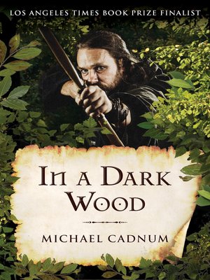 cover image of In a Dark Wood
